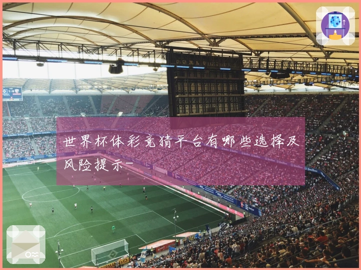 世界杯体彩竞猜平台有哪些选择及风险提示-