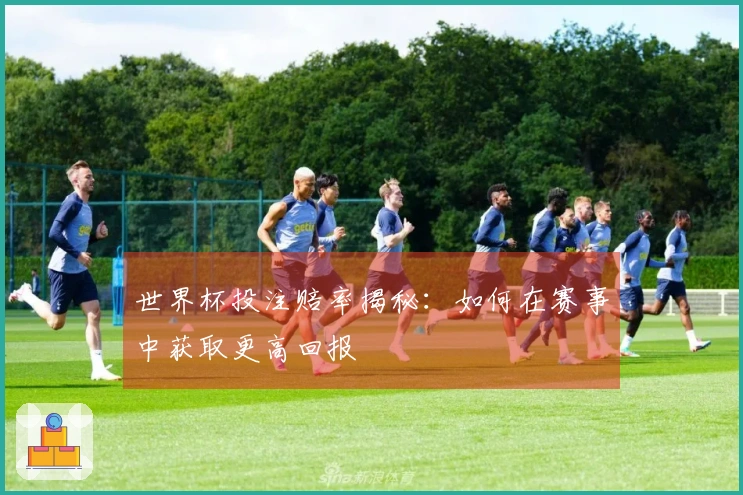 世界杯投注赔率揭秘:如何在赛事中获取更高回报