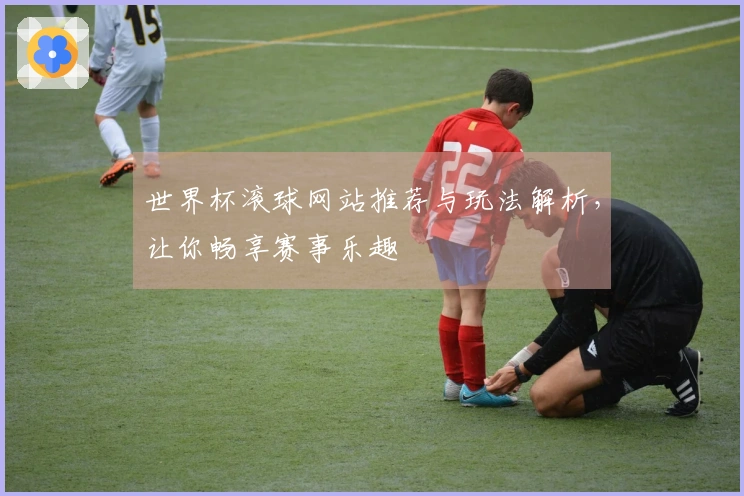 世界杯滚球网站推荐与玩法解析,让你畅享赛事乐趣