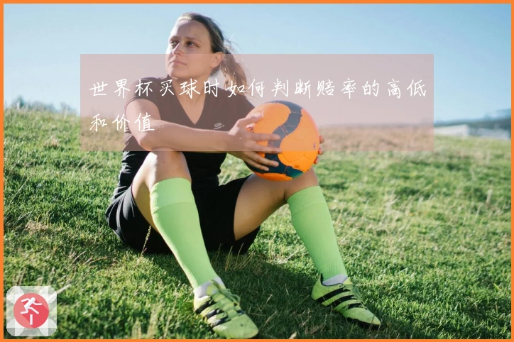 世界杯买球时如何判断赔率的高低和价值