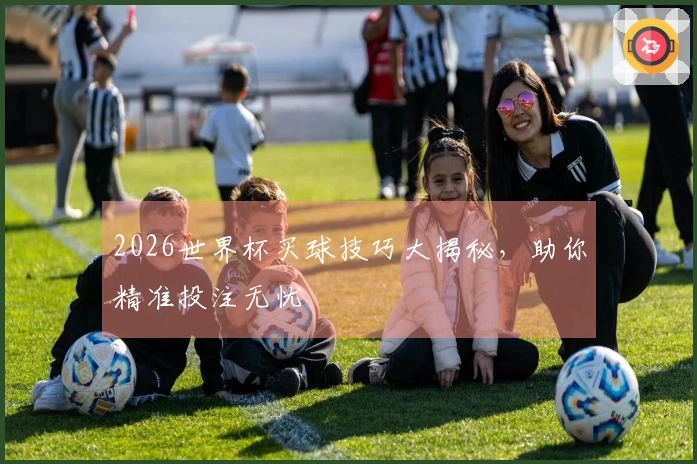 2026世界杯买球技巧大揭秘，助你精准投注无忧