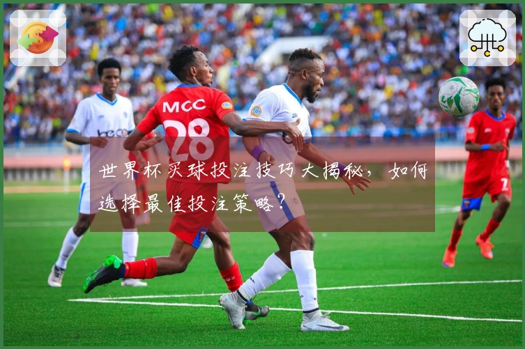 世界杯买球投注技巧大揭秘，如何选择最佳投注策略？