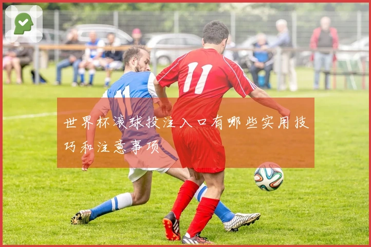 世界杯滚球投注入口有哪些实用技巧和注意事项