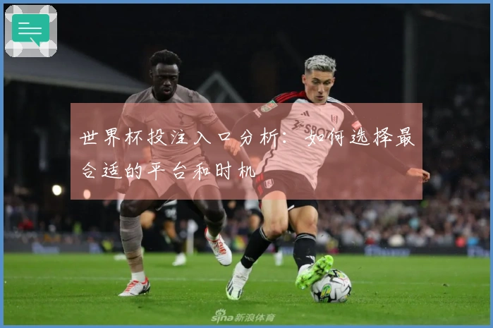 世界杯投注入口分析：如何选择最合适的平台和时机