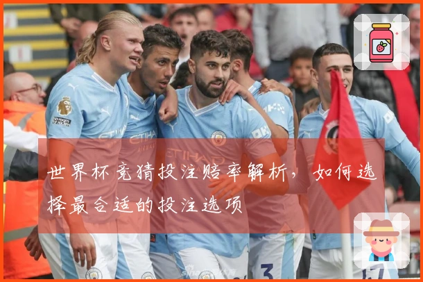 世界杯竞猜投注赔率解析，如何选择最合适的投注选项