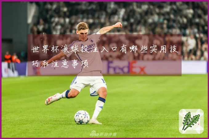 世界杯滚球投注入口有哪些实用技巧和注意事项