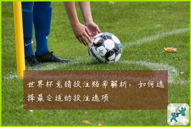 世界杯竞猜投注赔率解析，如何选择最合适的投注选项