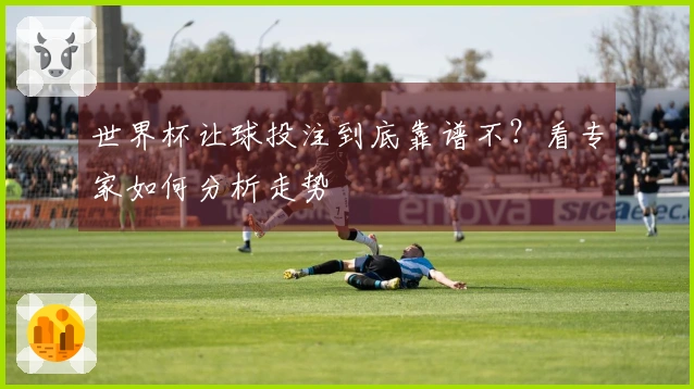 世界杯让球投注到底靠谱不？看专家如何分析走势