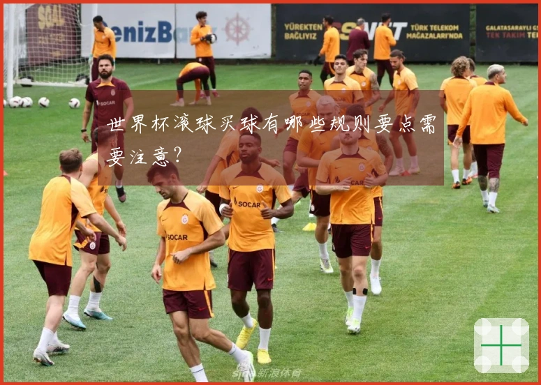 世界杯滚球买球有哪些规则要点需要注意？