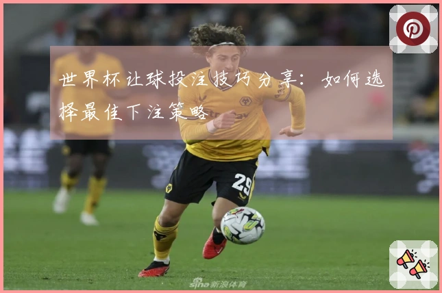 世界杯让球投注技巧分享：如何选择最佳下注策略